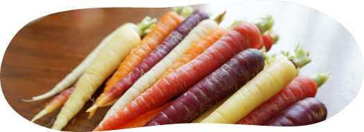 アゲインブランド/ 授産事業｜野菜の生産から出荷、販売まで 全国の直売所やレストランで喜ばれています。