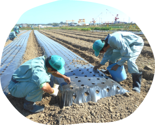 利用開始|アゲインへの通所が決まりましたら、利用者みなさんにユニホーム(夏用・冬用)・帽子を貸与しています。各作業所で必要な長靴等もご用意しています。