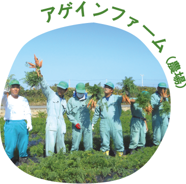 アゲインファーム（農場）｜広々とした農場で のびのび作業したい方に｜就労継続支援B型