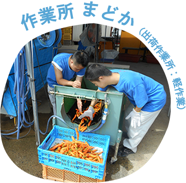 作業所まどか（出荷作業所・軽作業）｜体を慣らすことから始めたい方におすすめ｜就労継続支援B型