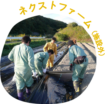 ネクストファーム（施設外）｜農作業に興味はあるけれど体力に自信がない方に